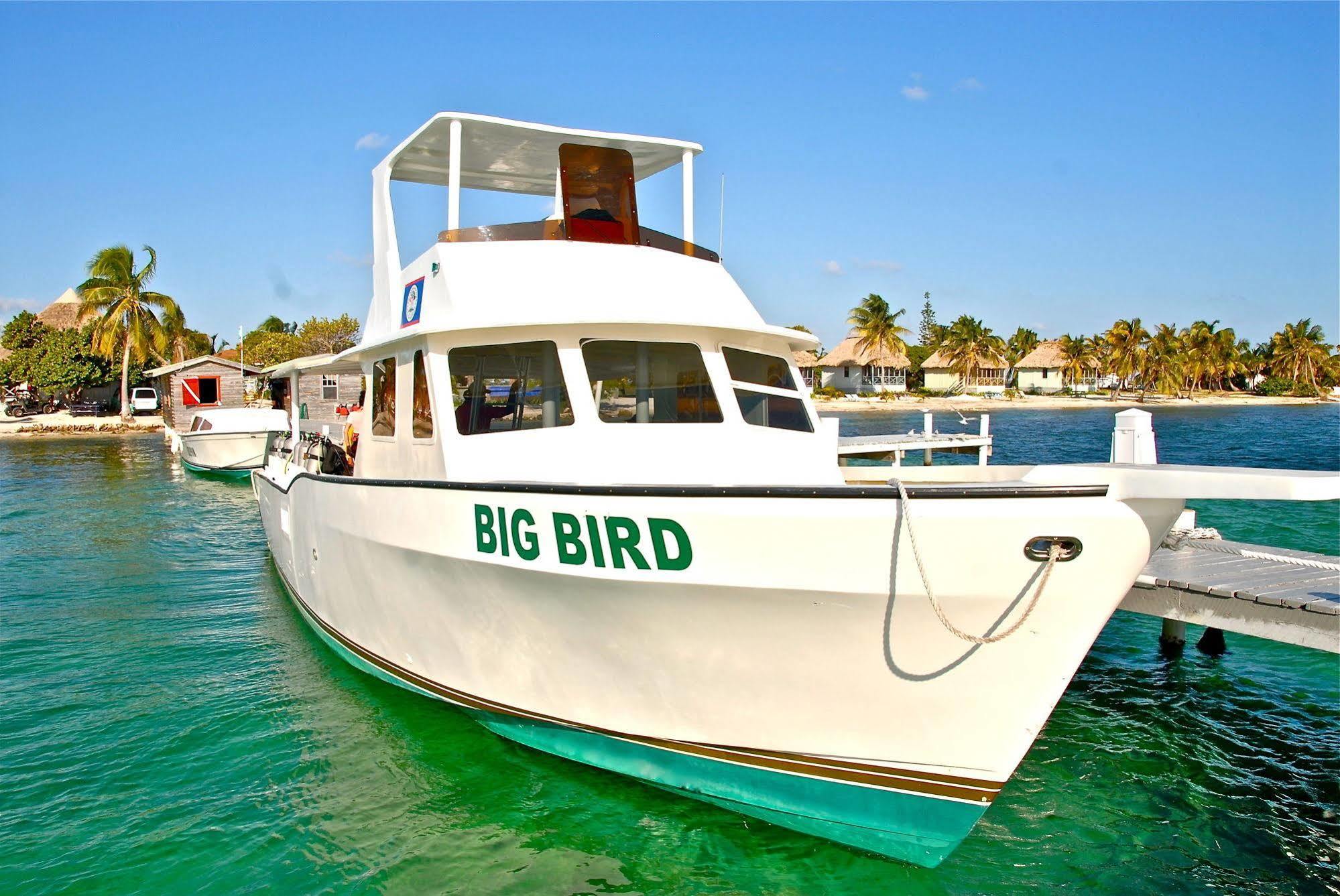 Blackbird Caye Resort Turneffe Atoll Экстерьер фото